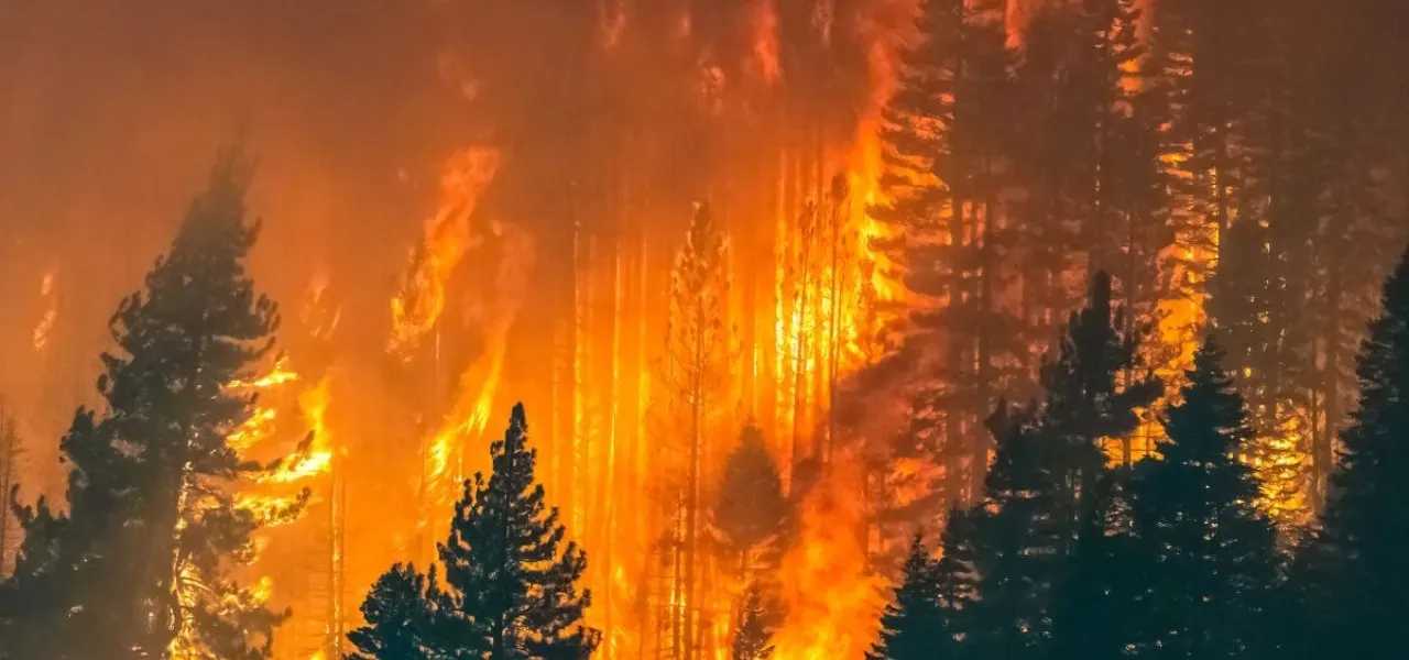 Colorado Hb1182 Wildfire Insurance July 2026